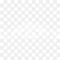 ��ɫ���ƻ������-������