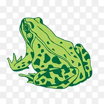 ʸ�����ܲ�ʳ�ز�-������