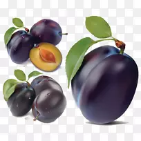 梅花剪贴画-李飞形象-空若网 梅花剪贴画-李飞形象-空若网