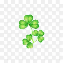 ÂÌÉ«ËÄÒ¶²Ý-¿ÕÈôÍø ÂÌÉ«ËÄÒ¶²Ý-¿ÕÈôÍø