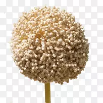 �����ʼ����ͼ�����-���-������