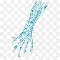 ʸÁ¿À¶É«µçÏß-¿ÕÈôÍø ʸÁ¿À¶É«µçÏß-¿ÕÈôÍø