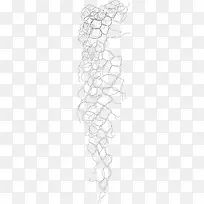 漂亮创意渔网-空若网 漂亮创意渔网-空若网