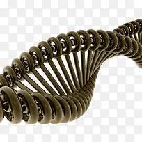 基因图谱-空若网 基因图谱-空若网