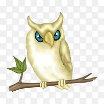 ��֦�ϵ�èͷӥ-������