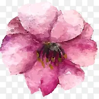 Ó£»¨ËزÄ-¿ÕÈôÍø Ó£»¨ËزÄ-¿ÕÈôÍø