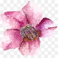 Ë®²ÊÓ£»¨ËزÄ-¿ÕÈôÍø Ë®²ÊÓ£»¨ËزÄ-¿ÕÈôÍø