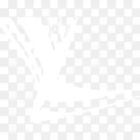 ��ɫ����  ��ɫ�Ź�-������