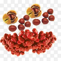 锥栗与红枣-空若网 锥栗与红枣-空若网