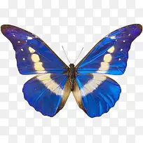 Ѥ�õĺ���-������