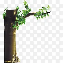 ��-������