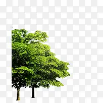 ��-������