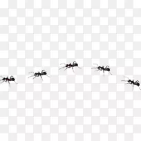 ��������-����-������