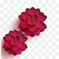 节日红花-空若网 节日红花-空若网