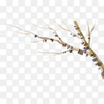 手绘冬季干枯的大树-空若网 手绘冬季干枯的大树-空若网