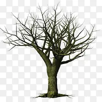 �ɿݵ���ɫ����-������