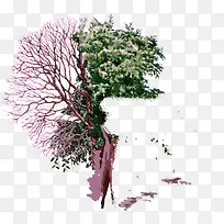 分层创意手绘树枝对比-空若网 分层创意手绘树枝对比-空若网