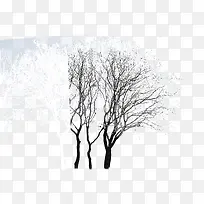 �����ֲ�Աȴ���-������