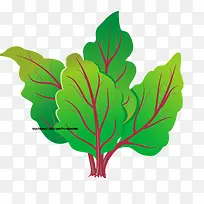 矢量萝卜绿色蔬菜-空若网 矢量萝卜绿色蔬菜-空若网