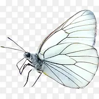 �����ز�-������