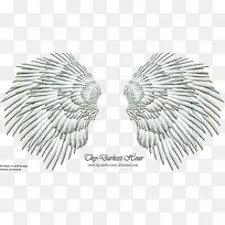 翅膀 天使的翅膀 实物-空若网 翅膀 天使的翅膀 实物-空若网