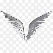 天使翅膀-空若网 天使翅膀-空若网