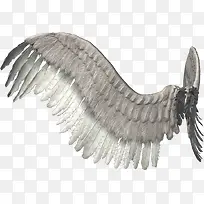 �Ұ׳��-������