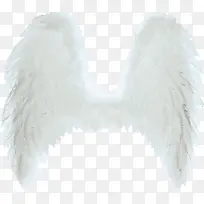 羽翼-空若网 羽翼-空若网