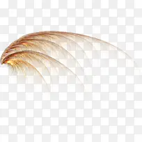 蝴蝶翅膀-空若网 蝴蝶翅膀-空若网