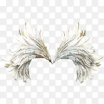 羽翼-空若网 羽翼-空若网