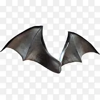 蝙蝠翅膀-空若网 蝙蝠翅膀-空若网