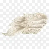 羽翼png图片-空若网 羽翼png图片-空若网