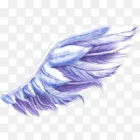 翅膀-空若网 翅膀-空若网