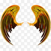 翅膀-空若网 翅膀-空若网