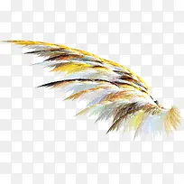 炫彩翅膀-空若网 炫彩翅膀-空若网