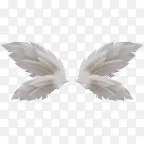 羽翼-空若网 羽翼-空若网