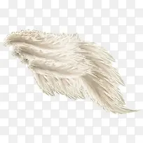 白羽翼png图片-空若网 白羽翼png图片-空若网
