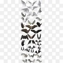 翅膀-空若网 翅膀-空若网