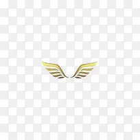 金色翅膀-空若网 金色翅膀-空若网