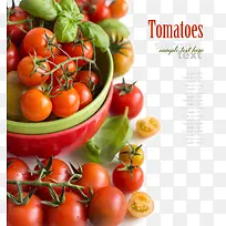 ���ʵ�С����-������