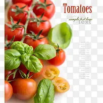 ���ʵ�С����-������