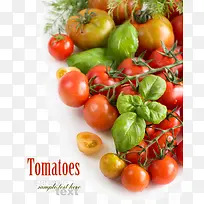 新鲜的小番茄-空若网 新鲜的小番茄-空若网