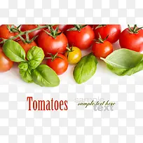 ���ʵ�С����-������