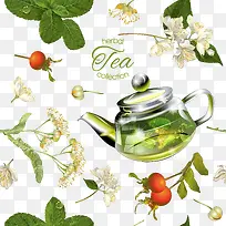 绿茶桂花矢量素材-空若网 绿茶桂花矢量素材-空若网