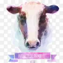 矢量彩绘牛头-空若网 矢量彩绘牛头-空若网