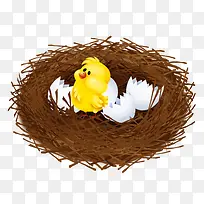 水彩小鸡-空若网 水彩小鸡-空若网