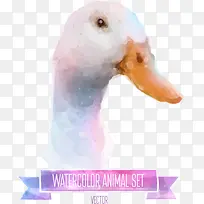 矢量彩绘鸭子头-空若网 矢量彩绘鸭子头-空若网