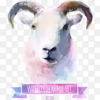 矢量彩绘山羊-空若网 矢量彩绘山羊-空若网
