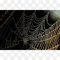 Ö©ÖëÍø±³¾°-¿ÕÈôÍø Ö©ÖëÍø±³¾°-¿ÕÈôÍø