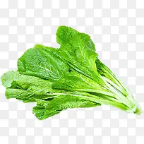 �����Ͳ��߲�-������